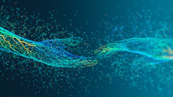 Image representing the word: network