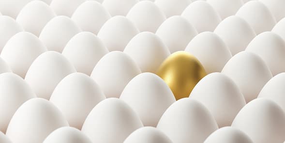 Image representing the word: personal