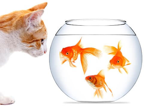 Image representing the word: pressure