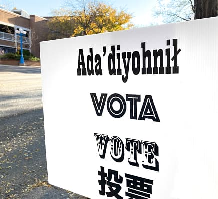 Image representing the word: vote